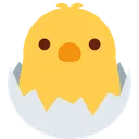 병아리 부화 이모지