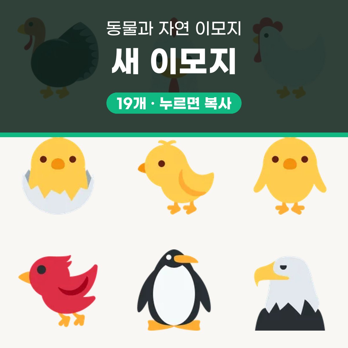 새 이모지 대표 이미지