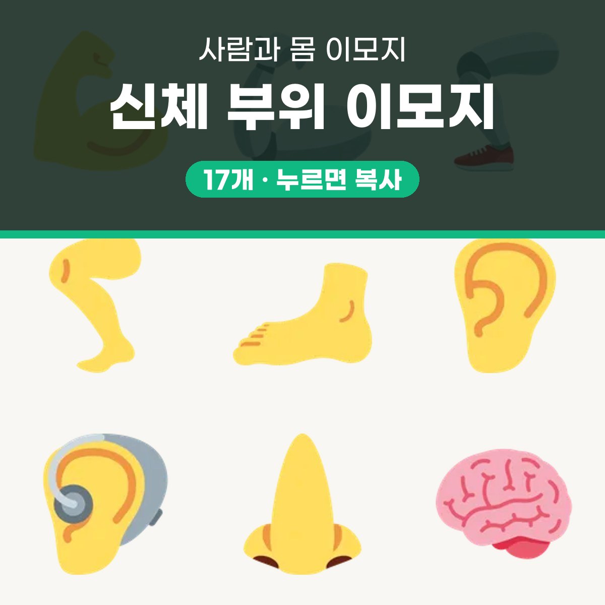 신체 이모지 모음 17개, 눌러서 바로 복사 대표 이미지
